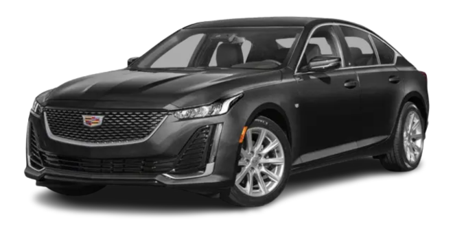 Executive Sedan